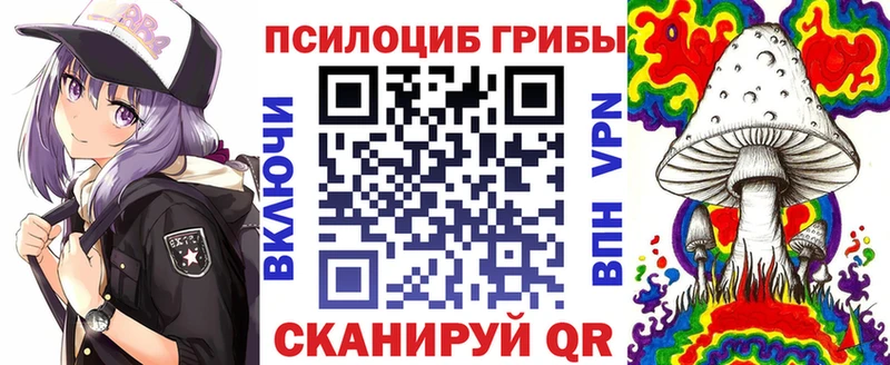 Галлюциногенные грибы Psilocybine cubensis  где можно купить наркотик  Болгар 